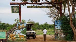 2-DAY SAFARI ADVENTURE TO MIKUMI NATIONAL PARK